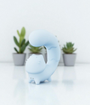 Squirrel Charm